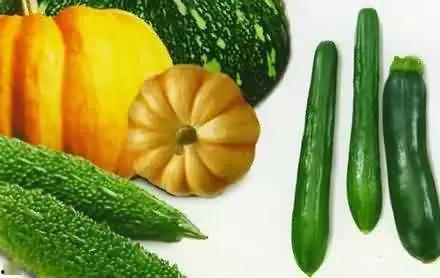 民勤老阿姨吃瓜