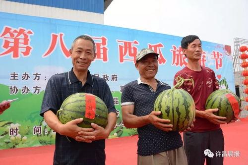 许昌吃瓜新闻视频最新,揭秘事件背后惊人真相！