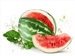 瓜分瓜吃,共享喜悦，品味人生