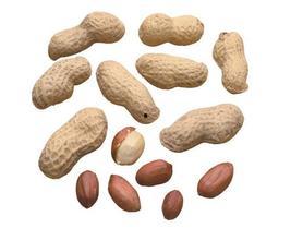 乳腺增生可以吃哈密瓜,天然食疗新选择