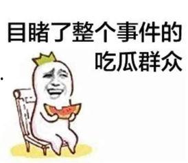 小谦吃瓜群众,揭秘娱乐圈幕后故事