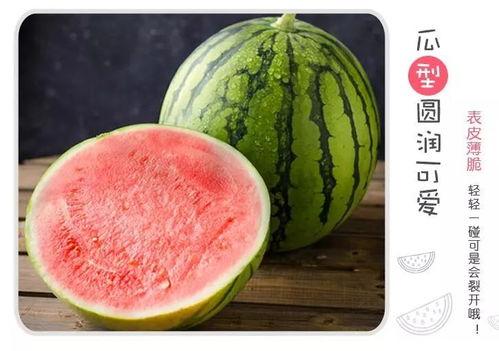 白酒界吃瓜,揭秘行业“吃瓜”背后的真相