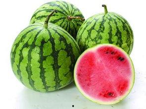 蜜瓜南瓜怎么吃,夏日健康美味新体验