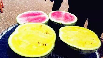 吃瓜爆料山东高密,吃瓜群众揭秘当地热点事件