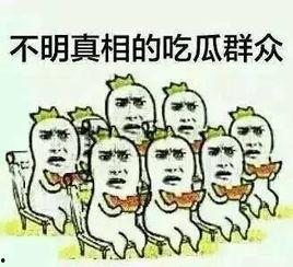 吃瓜蹭水群众,吃瓜蹭水群众的狂欢盛宴